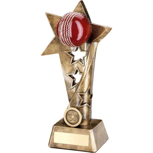 Cricket Star Column Trophy - 10.25in (CLEARANCE)