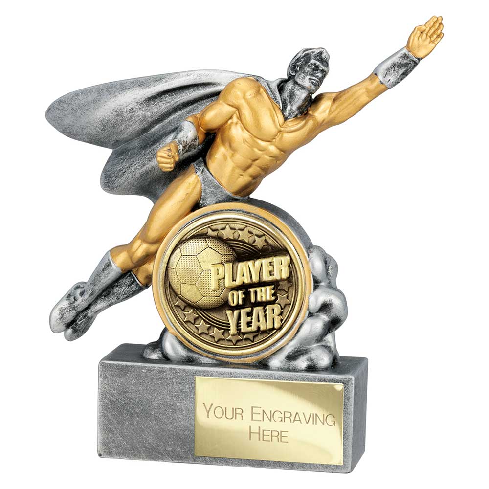 Hero Football Player of the Year Trophy