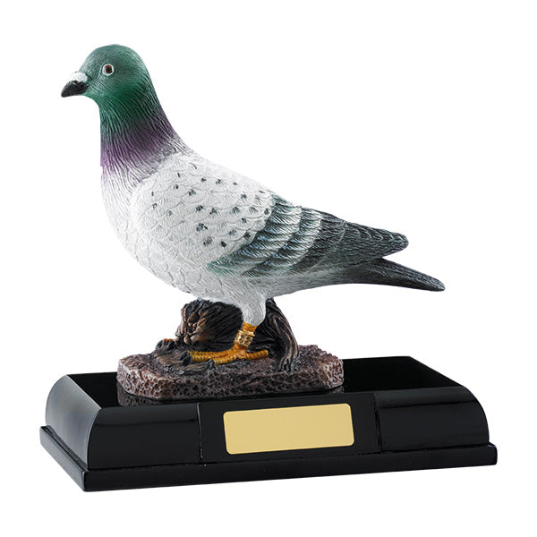 Pigeon Award 6.25