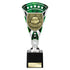 Cobra Football Trophy Cup Player of the Year (Silver/Green)