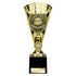 Cobra Football Trophy Cup Parents Player (Gold)