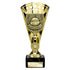 Cobra Football Trophy Cup Player of the Year (Gold)