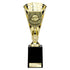 Cobra Football Trophy Cup Player of the Year (Gold)