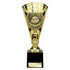 Cobra Football Trophy Cup Thank You Coach (Gold)