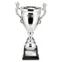 Endeavour Super Trophy Cup
