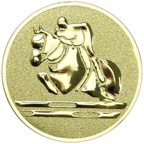 Showjumping Equestrian Gold Medal Centre