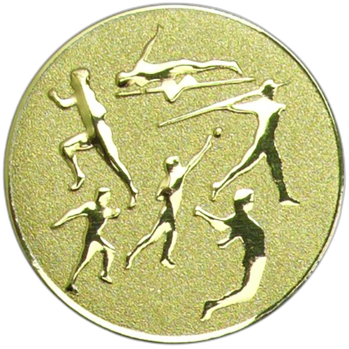 Track And Field Multi Event Gold Medal Centre