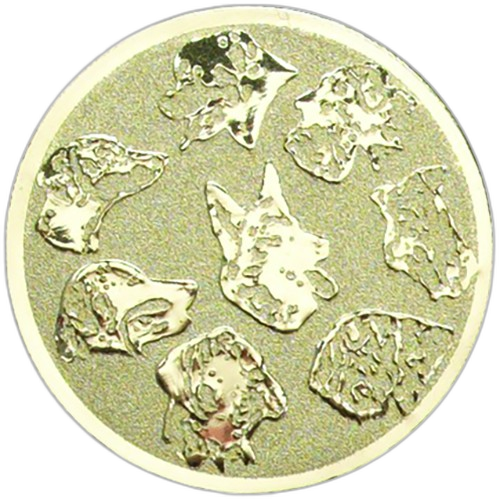 Dog Show Gold Medal Centre