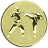 Karate Gold Medal Centre