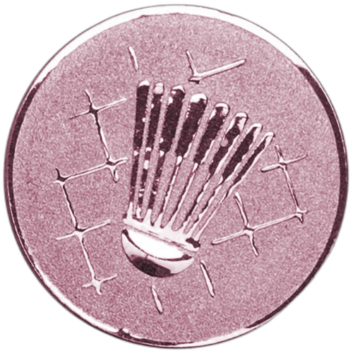 Badminton Bronze Medal Centre