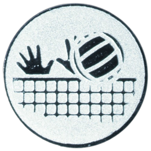 Volleyball Silver Medal Centre