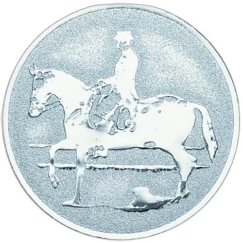 Dressage Equestrian Silver Medal Centre