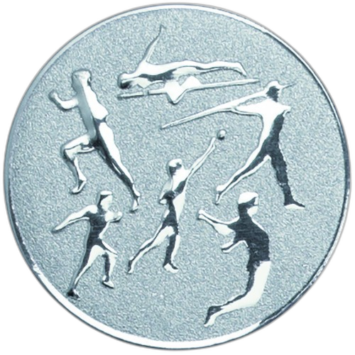 Track And Field Silver Medal Centre