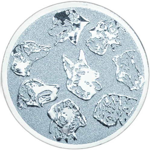 Dog Breeds Silver Medal Centre