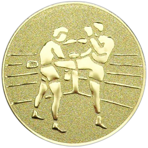 Kickboxing Gold Medal Centre