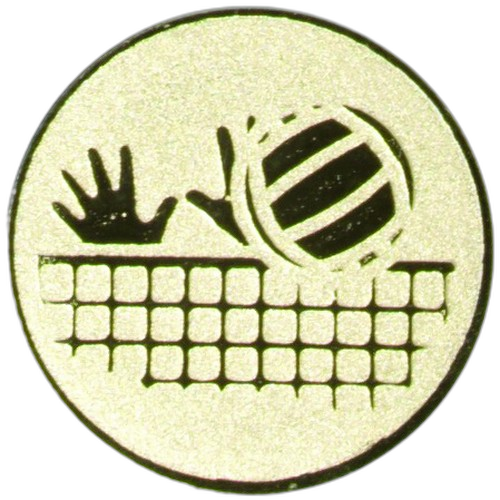 Volleyball Gold Medal Centre