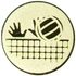 Volleyball Gold Medal Centre