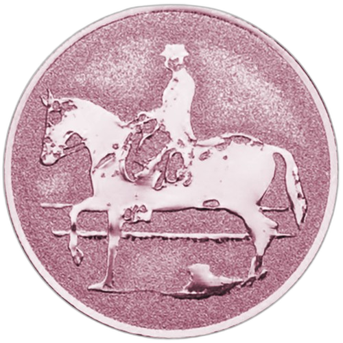Dressage Equestrian Bronze Medal Centre