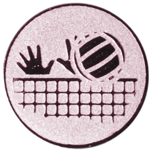 Volleyball Bronze Medal Centre