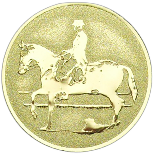 Dressage Equestrian Gold Medal Centre