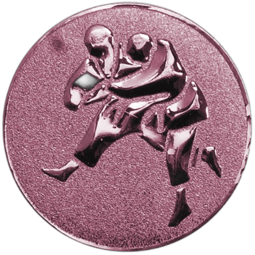 Judo Bronze Medal Centre