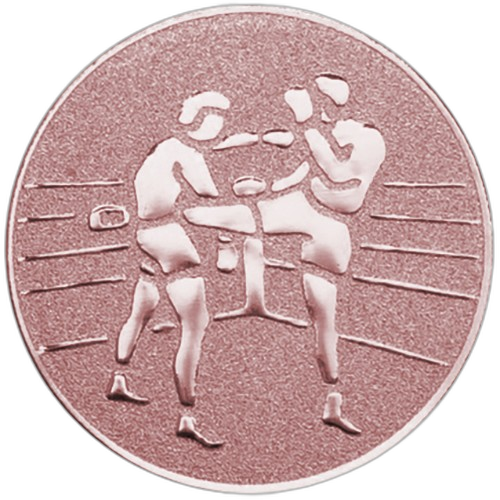 Kickboxing Bronze Medal Centre