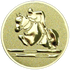 Showjumping Equestrian Gold Medal Centre
