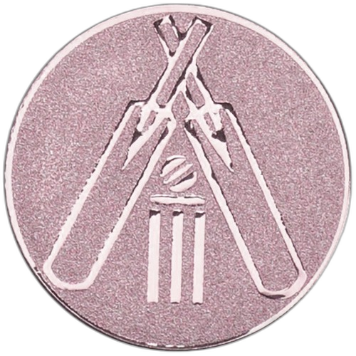 Cricket Bronze Medal Centre
