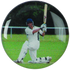 Cricket Printed Medal Centre