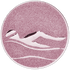 Swimming Bronze Medal Centre