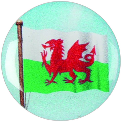 Welsh Dragon Flag Graphic Medal Centre