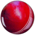 Cricket Ball Printed Medal Centre