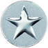 Star Silver Medal Centre