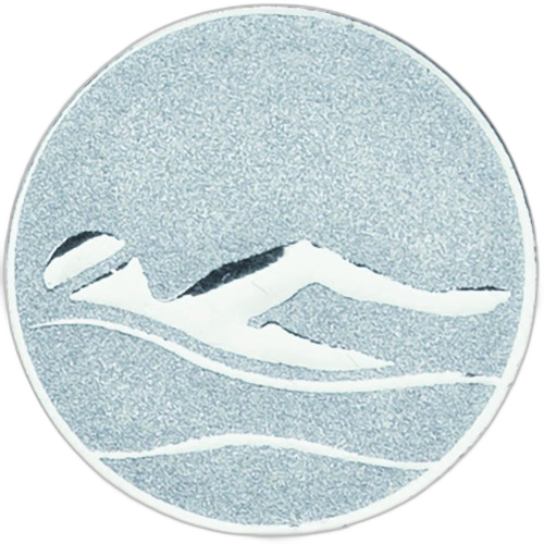 Swimming Silver Medal Centre