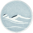 Swimming Silver Medal Centre
