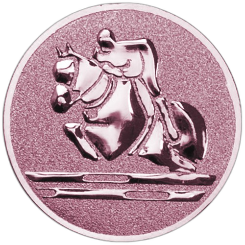 Show Jumping Equestrian Bronze Medal Centre