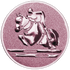 Show Jumping Equestrian Bronze Medal Centre