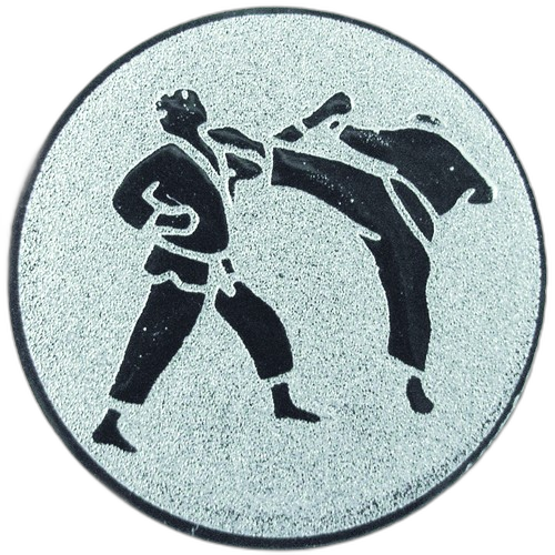 Karate Sparring Silver Medal Centre