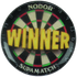 Winner Darts Gold Medal Centre