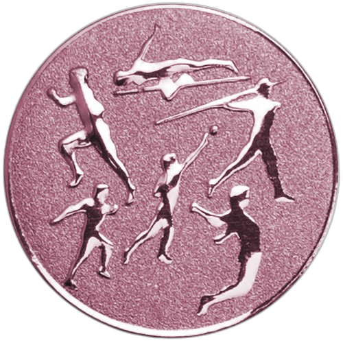 Multi Sport Bronze Medal Centre