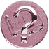 General Knowledge Quiz Pink Medal Centre