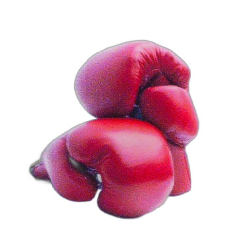 Boxing Gloves Graphic Medal Centre
