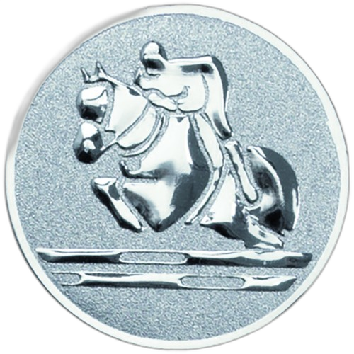Show Jumping Equestrian Silver Medal Centre