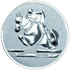 Show Jumping Equestrian Silver Medal Centre