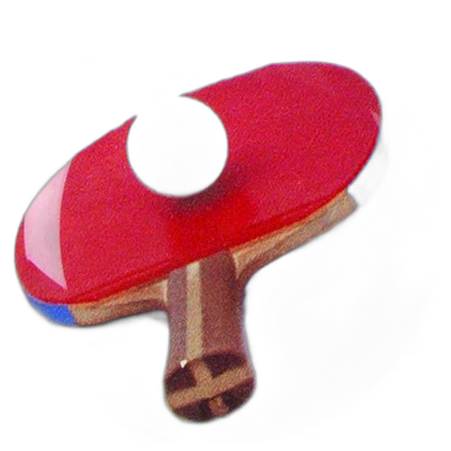 Table Tennis Graphic Medal Centre