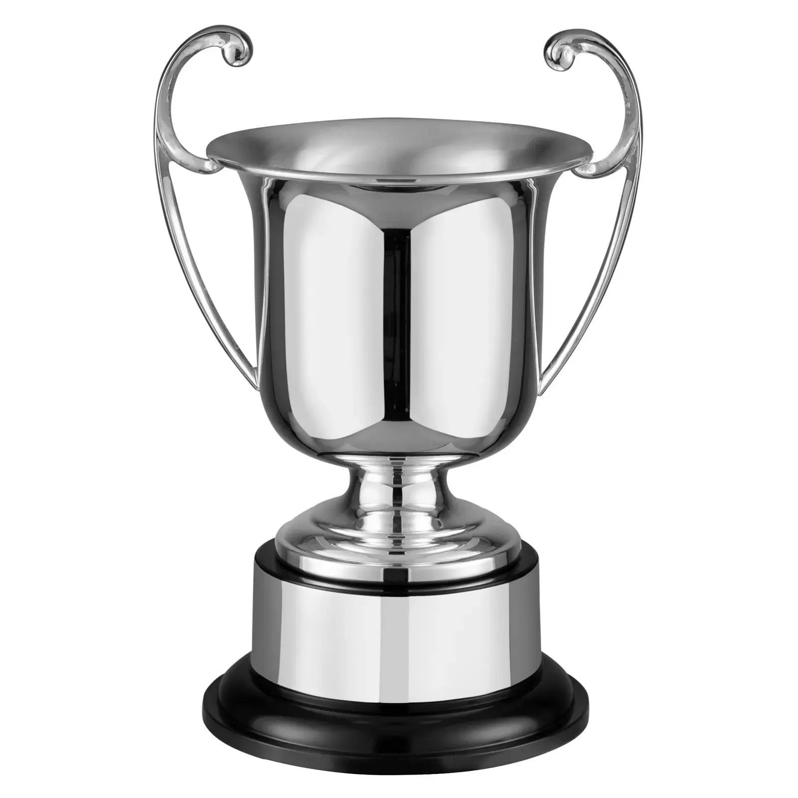 Silver Plated St Paul’s Prestige Cup with Handles Award