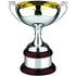 Silver & Gold Plated Olde English Prestige Cup Award