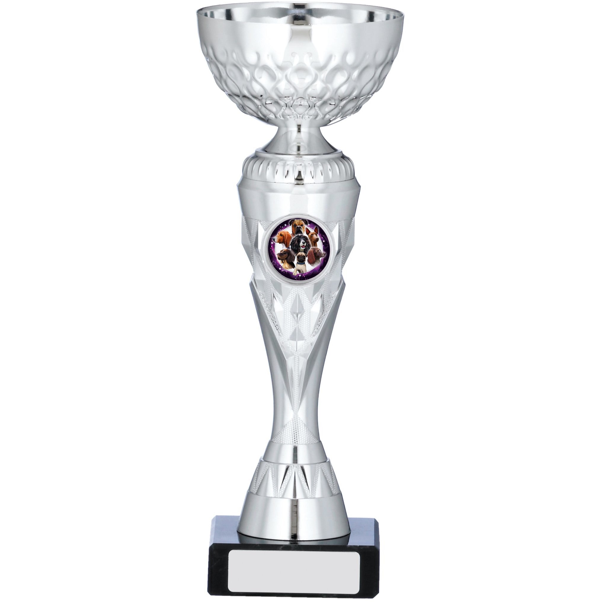 Slender Silver Trophy Cup