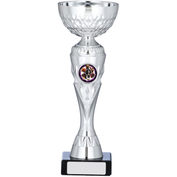 Silver Cup Trophy 22cm