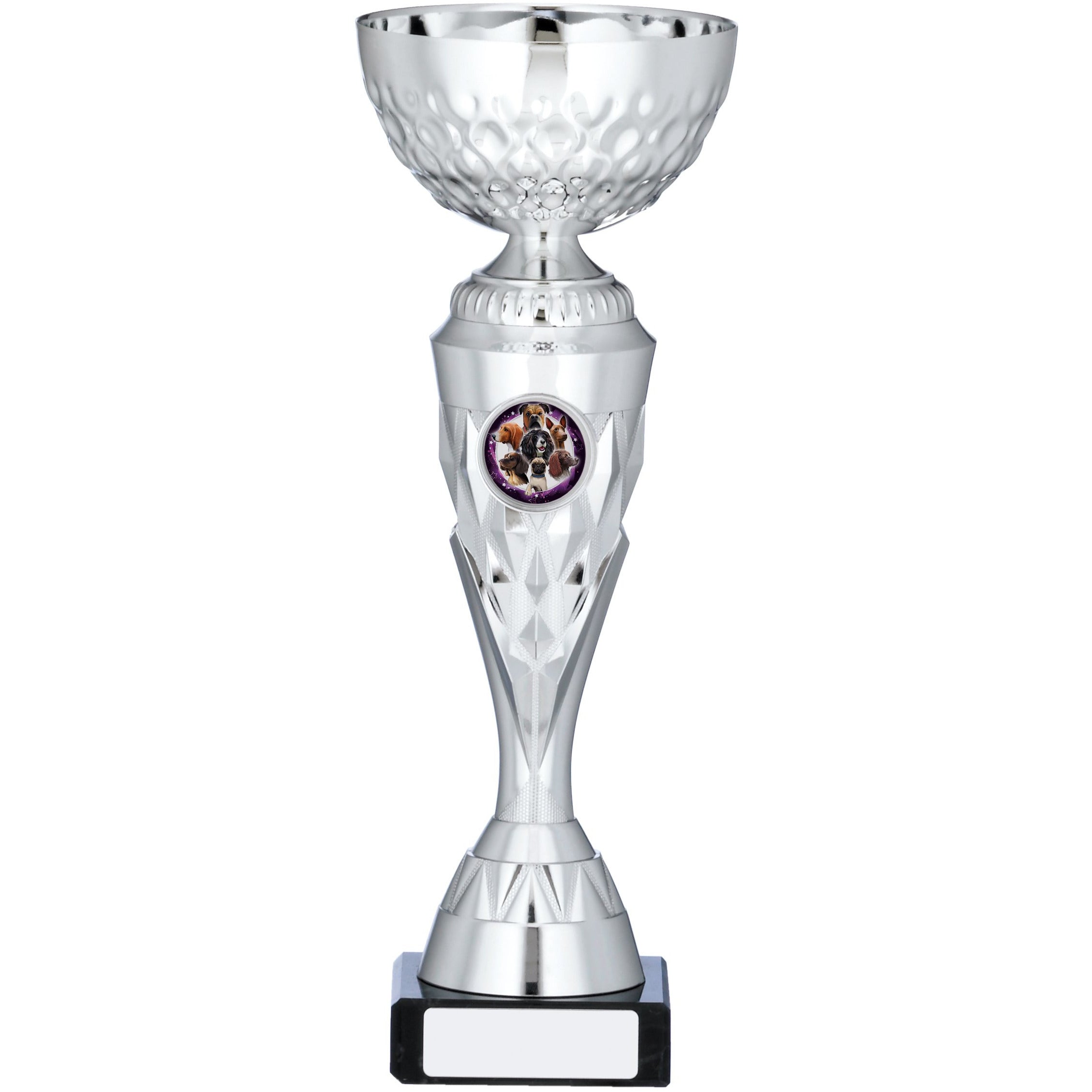 Slender Silver Trophy Cup